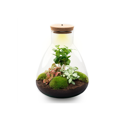 Terrarium